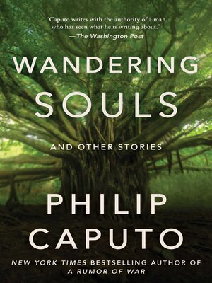 cover image of Wandering Souls
